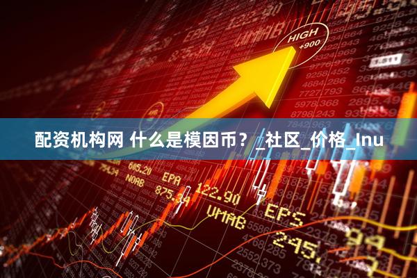 配资机构网 什么是模因币？_社区_价格_Inu