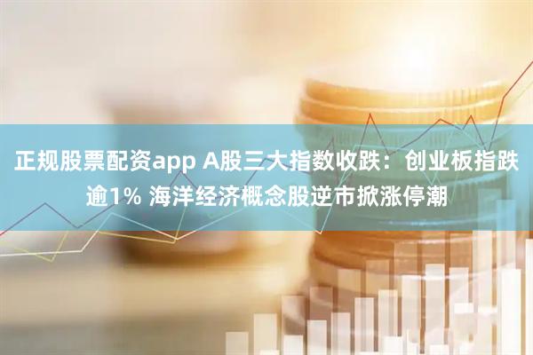 正规股票配资app A股三大指数收跌：创业板指跌逾1% 海洋经济概念股逆市掀涨停潮