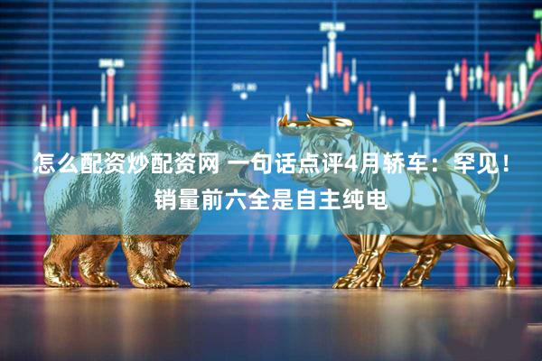 怎么配资炒配资网 一句话点评4月轿车：罕见！销量前六全是自主纯电